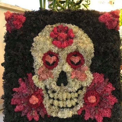 Tablou Licheni Calavera